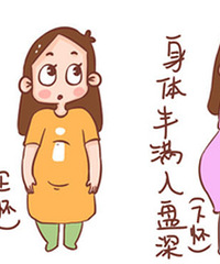 ���ϻ����͡��»����������裬ԭ������ô�಻ͬ