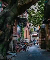 Ȫ�ݣ�һ����һ����ȥ��һ����