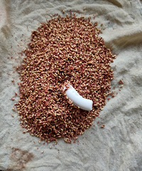 ���Ի���̨��No.55��ʯ��������������������