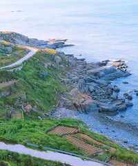 �����˺��Ե�8���ط����������٣�2021��ȥһ�Σ�