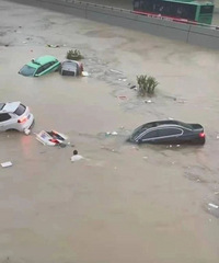 ���ģ���������������������