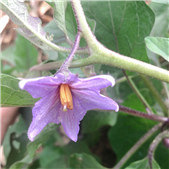 ϲ�������Ӹ��ܴ���Ȼ