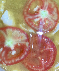 ���Ի���̨��no55����Ů��Ƭ��������ţ