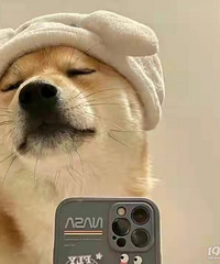 ����ϦҪ�ѵ������ǲ����飬����û�ȵ���