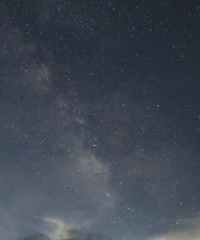 ̨�ݵ�����