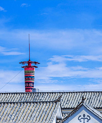 ס�����ϵĹ����������������