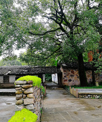 [������]����԰֮�ģ��������飬������������