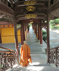 �����Ե�Ļ���������