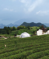 ̨�ݵ�������������֮��