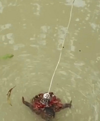 ������ϺҲ̫���˵�ɣ�һ���������ô��