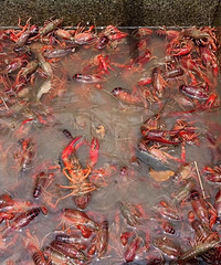 ������ϺҲ̫���˵�ɣ�һ���������ô��