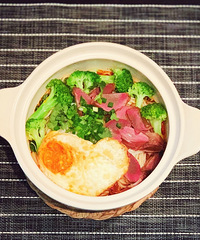 ����һ��ʳ�ǣ��Ϳ���������Ϻ�����ܵ�