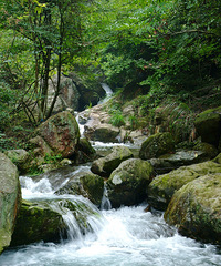 �Լ�1hֱ��С������أ���ϪƯ��������¶Ӫ��������γ��ޣ�