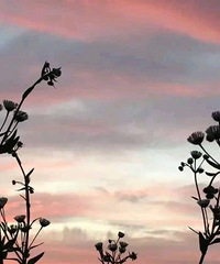 �Ϲ����Գ��ɣ����Լ����ܲ��ˣ��Ƿ�Ҫ������