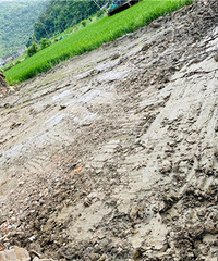 ����ƽ���ȷ���