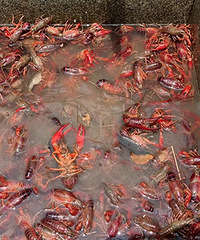 һ���������ô��