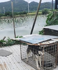 ˭�Ҷ����߶��ˣ��ٲ����߹�������