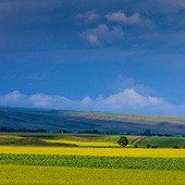 ���ѹ�·������