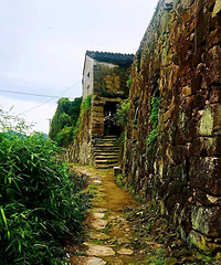 �������Ϊ̨�ݡ���ɽ��Ĳ������������������к�������