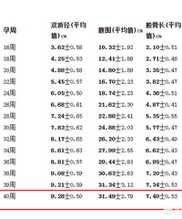 ���ܺ�̥��˫�������ձ�������10CM�ͺ���˳����