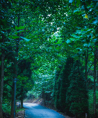 �桤�������ߣ��²�15��+���䵽��Ƥ����