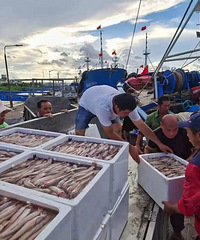 ���桰��һ�����������ˣ��۸���ô����