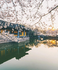 ����������������Ľ���ˮ��