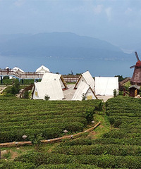 ̨�ݵ��������