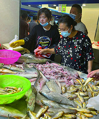 ��������з�۸�ʵ��