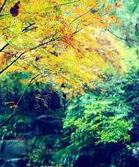 91������ҵ���MM�������һλ����Я��һ�����к�