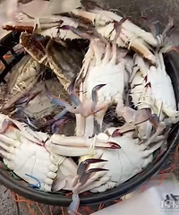 �Ժ��ʵĸ�����������ó�ũ�۳���������վ�������