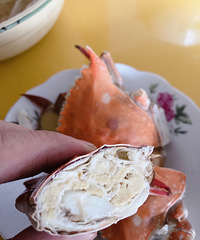 �������ڿ��ԳԵ������ˣ��׹���׳��