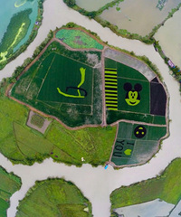 ��ˮ�������������¸߶ȣ�̨�����һ����Լ�������ɡ�