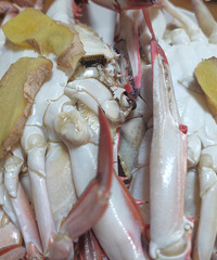 ��׳���з����û������5ֻ������70����