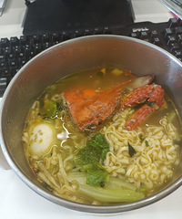 �緹����з�����棬�ʺ�������