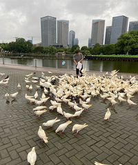 ����ǰ������㳡��Χ���ϰ��Լ�ι����