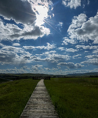 ���ϵ����ж�����һ��һ���������