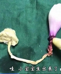 ���ޡ��ʸ�������ʲô���ģ����������������������һ���