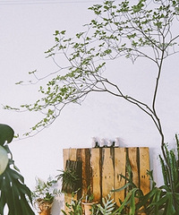 ֲ����Hermes