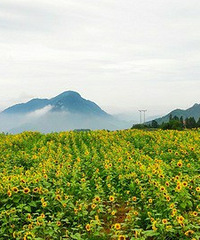 �����ģ�����ɳ��ƽ�ﶫɽ��·����ྪϲ