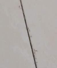 ����С������ô��