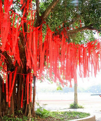 Ѱ�ҽ���������/��Ը�����������������Ϧ