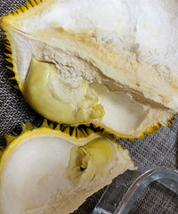 ƴϦϦyyds������60��Ľ���������ȫ�³�