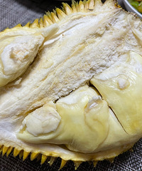 ƴϦϦyyds������60��Ľ���������ȫ�³�