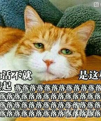 ���»��л������ڵ������ճ������