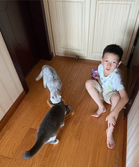 Ϊɶ��˵С�������꼶��ʼ��һ���ֽ��ߣ�