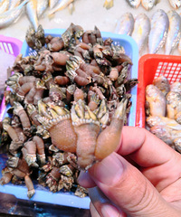 ��˵�ⶫ��ζ�����ޣ�������˵���Ǽ۸��е��