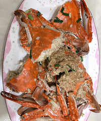 ���Ի���̨��no55��8��8�ճ�������з��