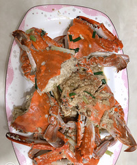 ���Ի���̨��no55��8��8�ճ�������з��