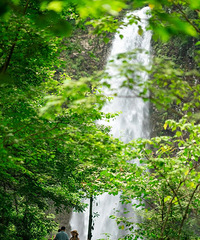 ���ɾ������ٲ������������㲻һ����������